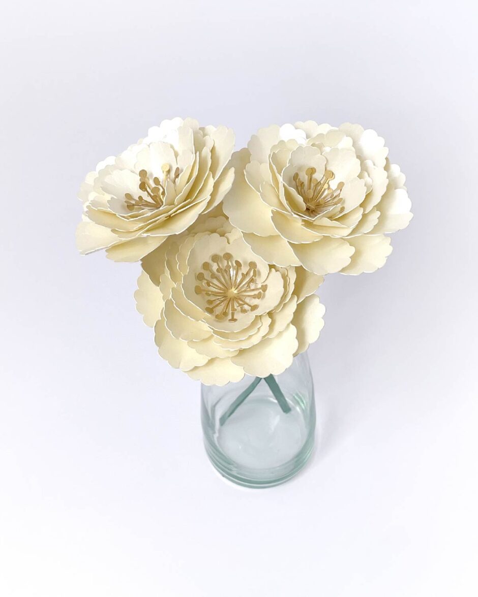 Rosas Crema Set x3