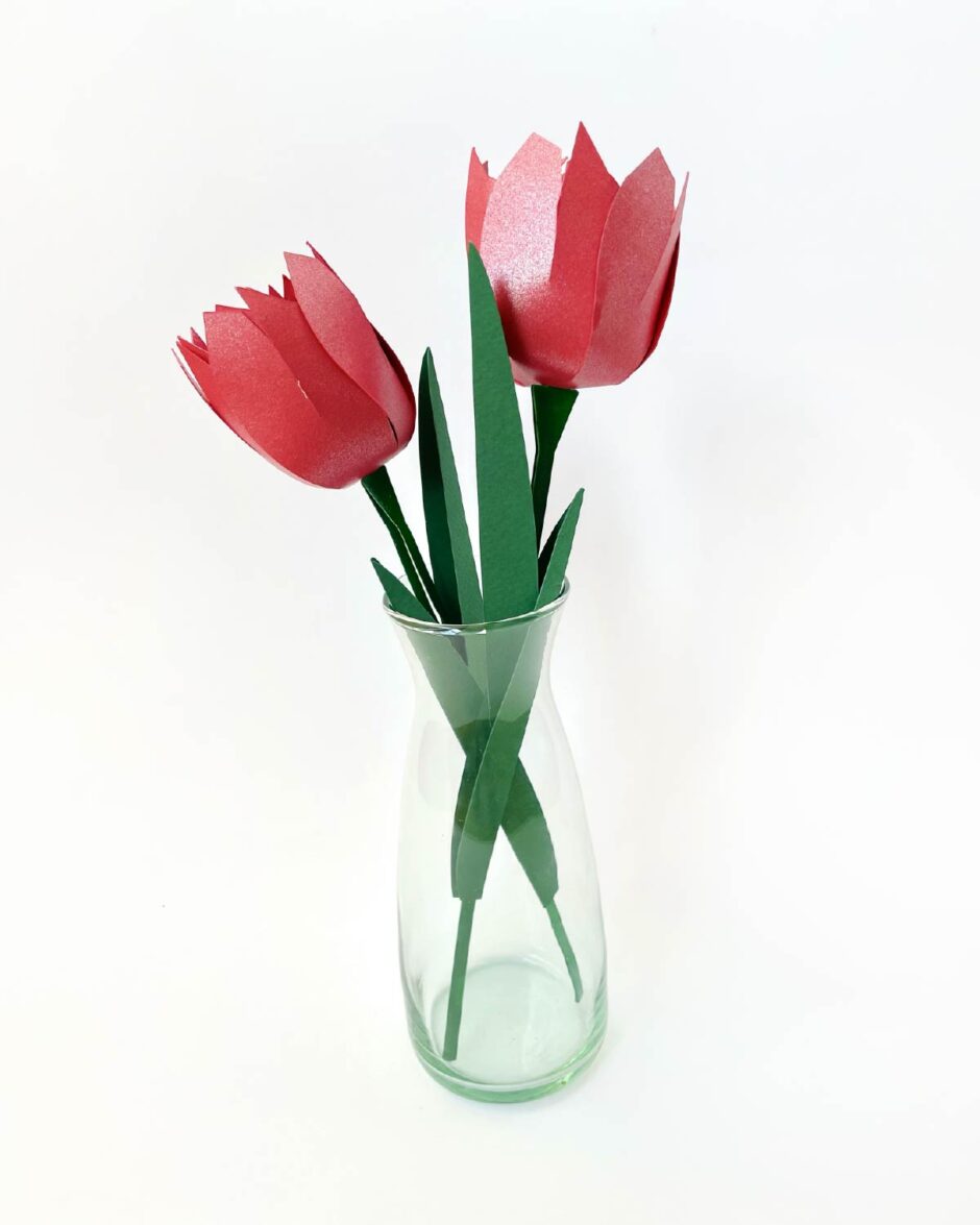 Tulipanes Rojos Set x3
